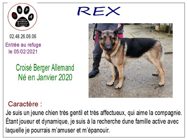 rex