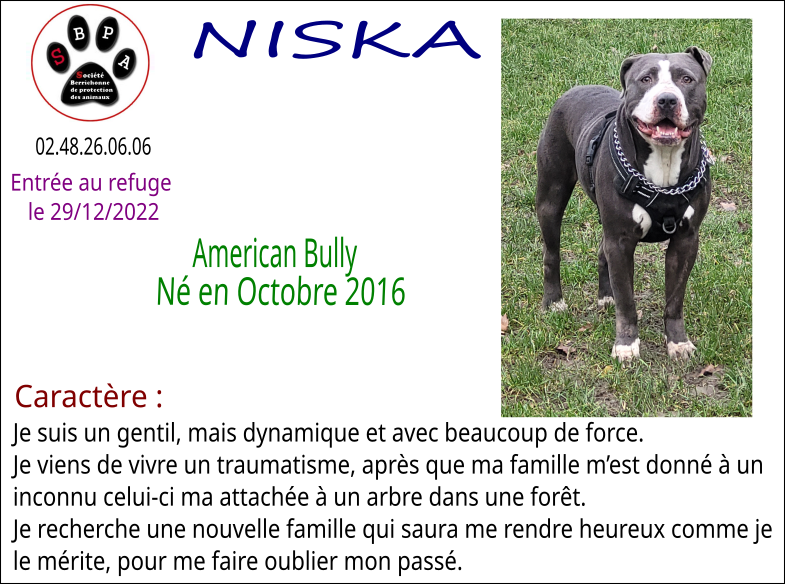 niska