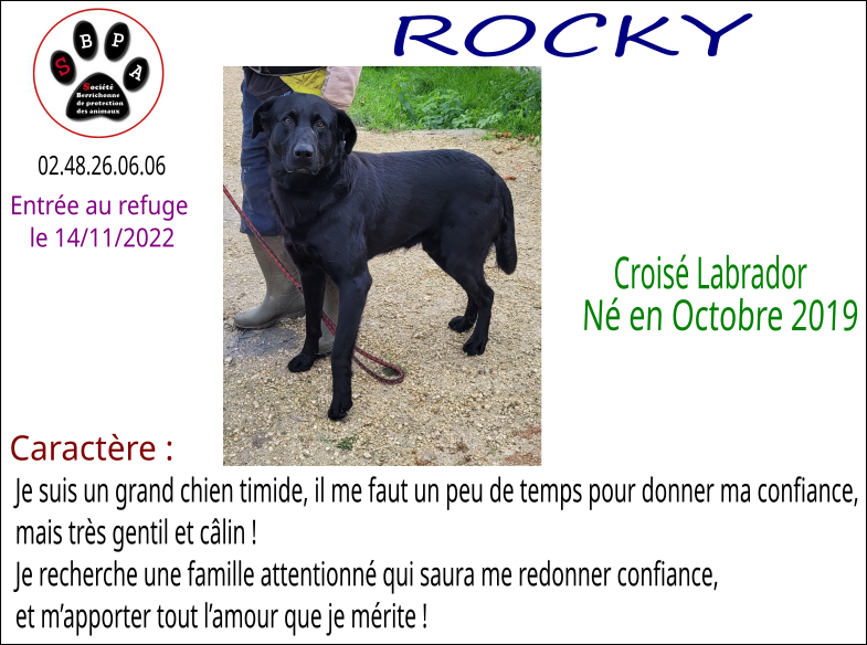 rocky