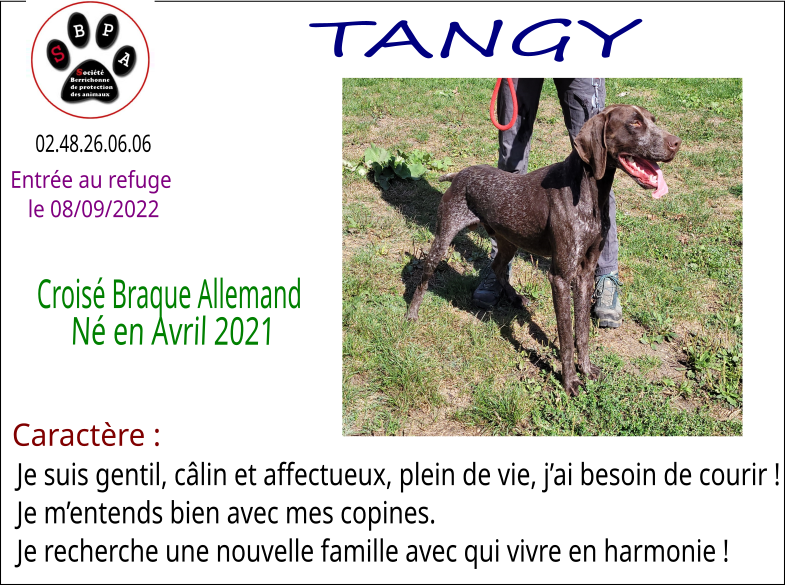 tanguy