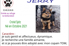 jerry