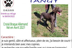 tanguy