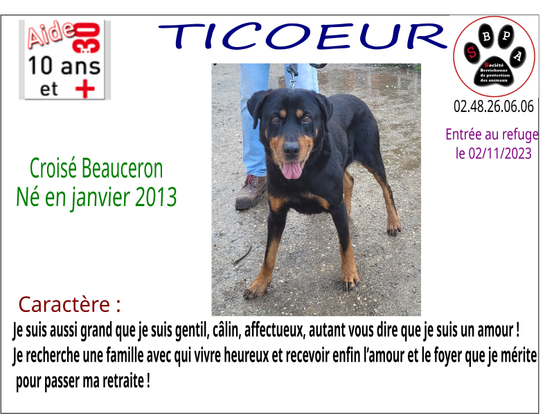 TICOEUR