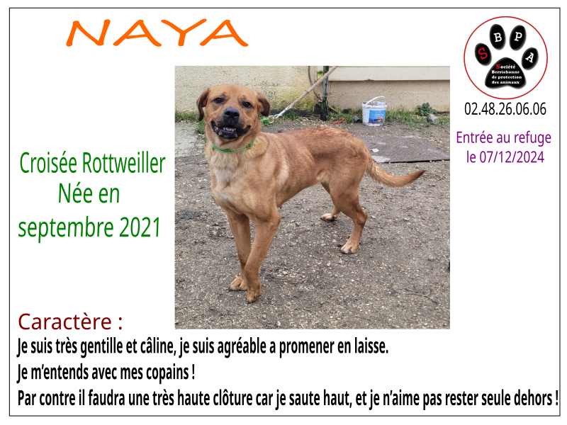 naya