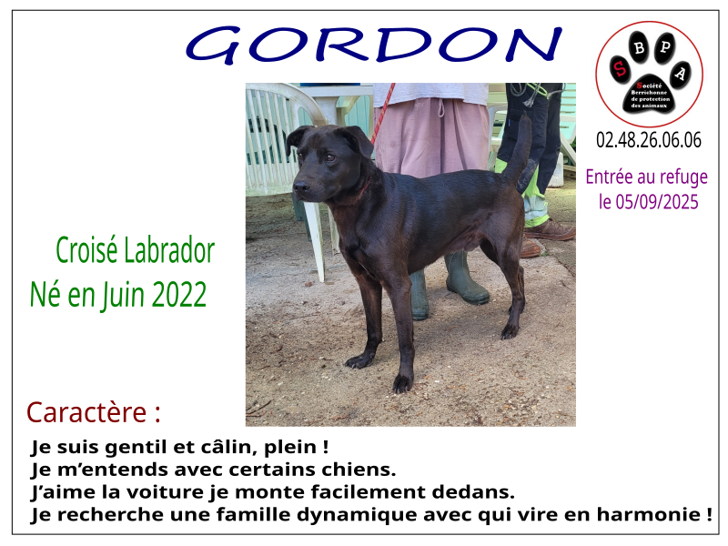 gordon