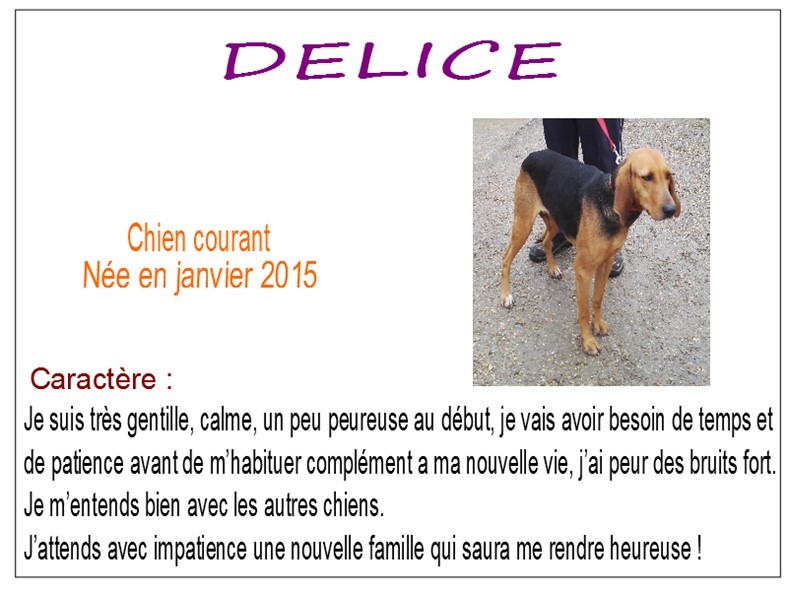 delice
