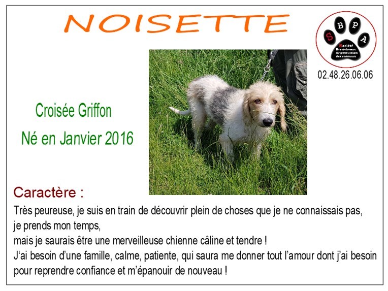 noisette-2