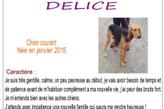delice