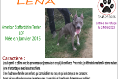 lena