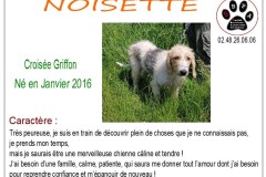 noisette-2