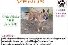 venus