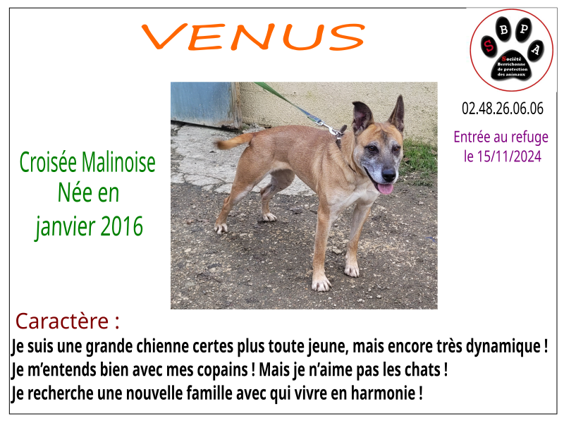 venus