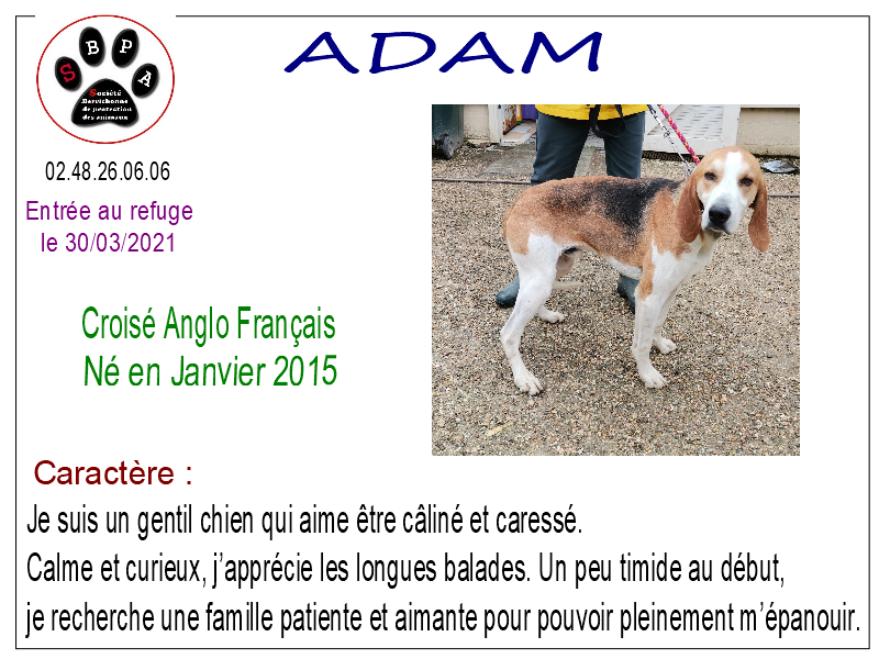 adam