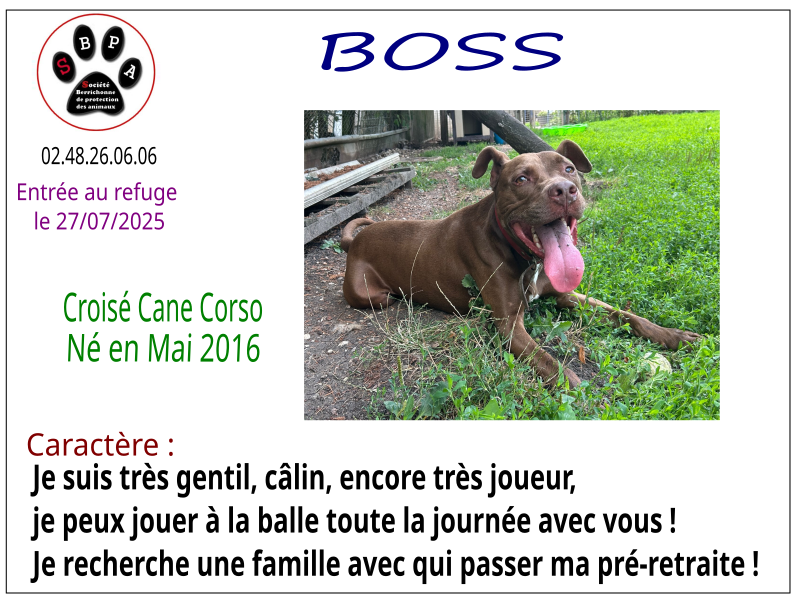 boss