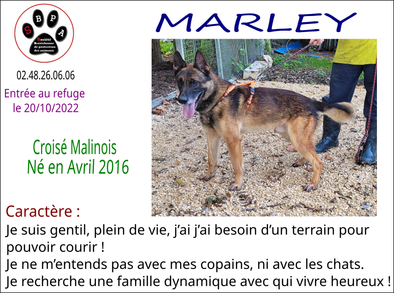 marley
