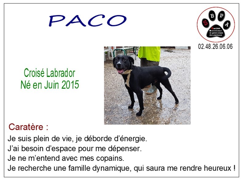 paco