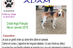 adam