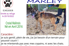 marley