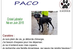 paco
