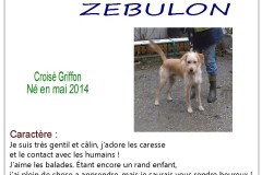 zebulon