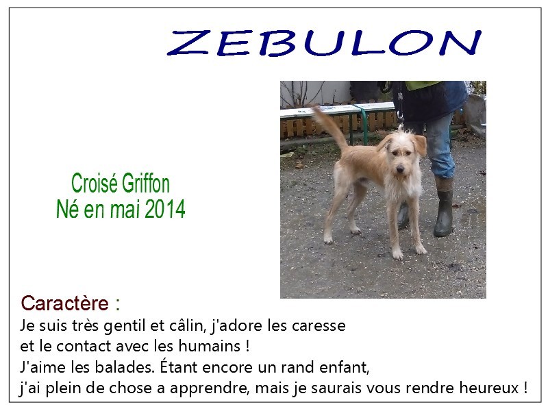 zebulon