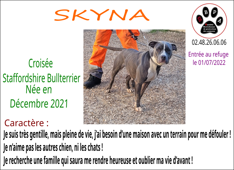 SKYNA