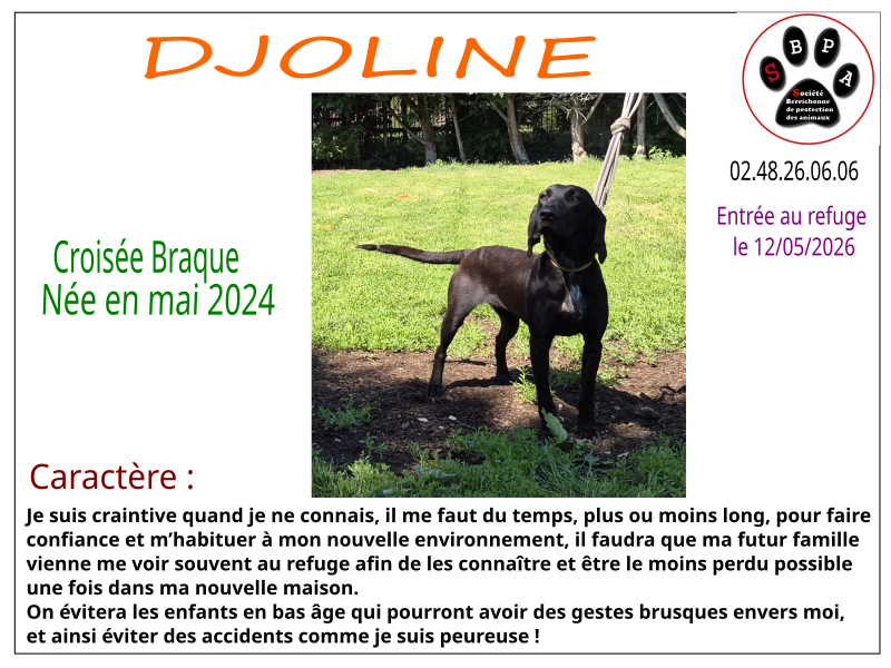 djoline