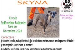 SKYNA