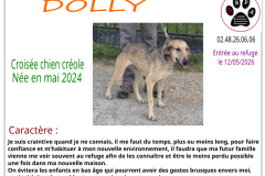 doly