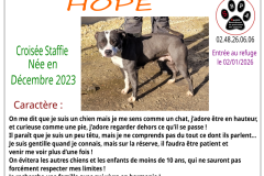 hope