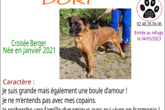 dori