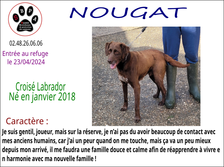 NOUGAT