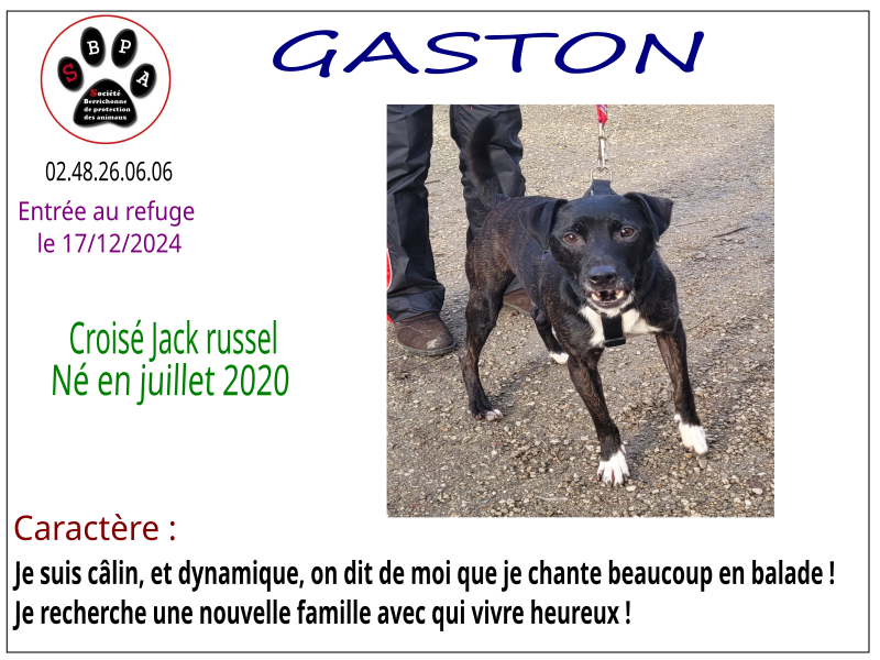 GASTON