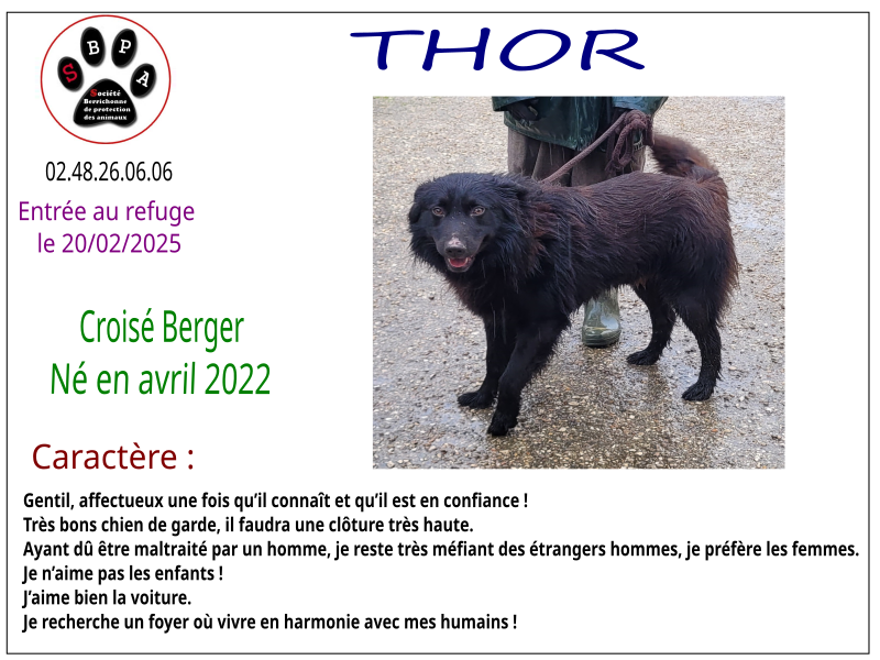 THOR