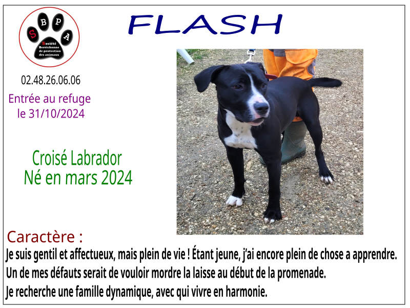 flash