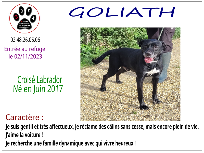 goliath