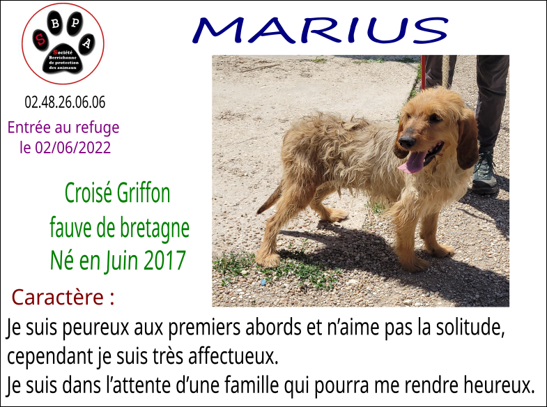marius