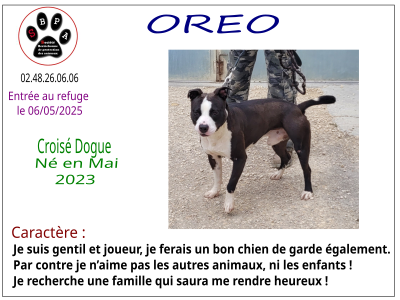 oreo