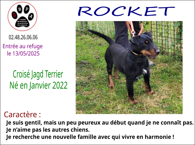 rocket