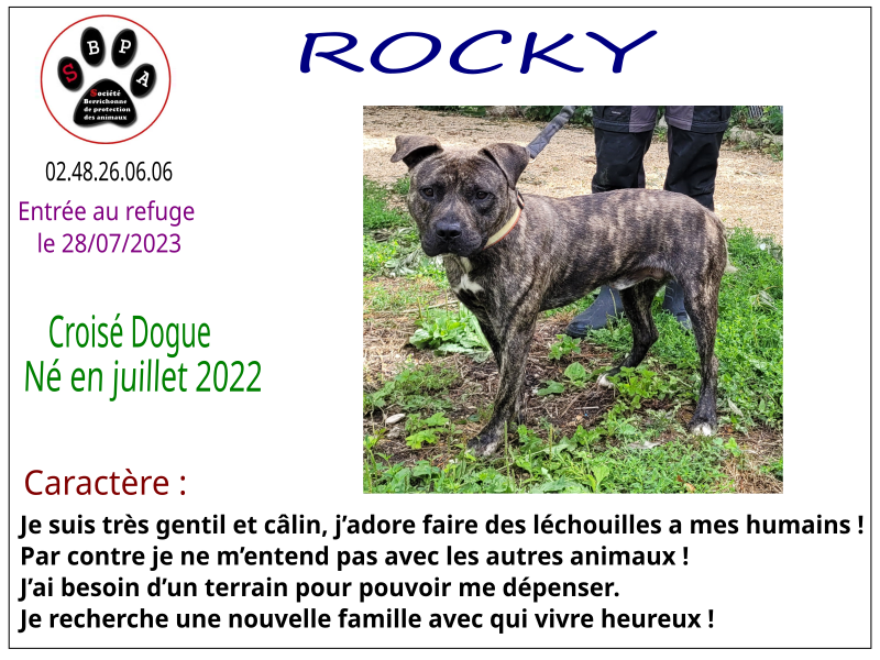 rocky