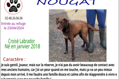 NOUGAT