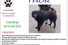THOR