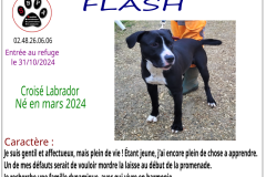 flash