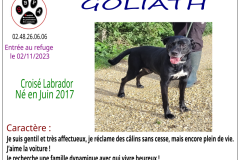 goliath