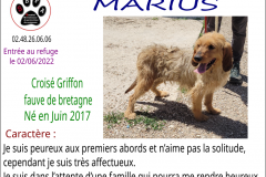marius