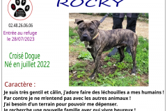 rocky
