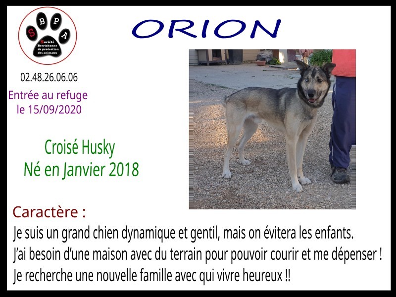 ORION