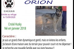 ORION
