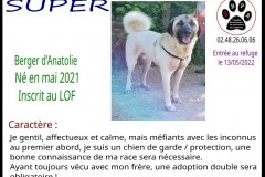 SUPER-1
