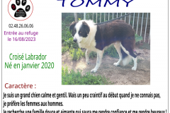 tommy